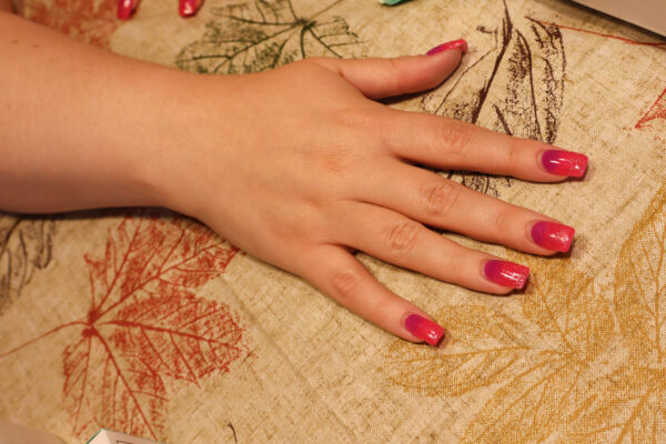 IMG_6733 IMG_6733